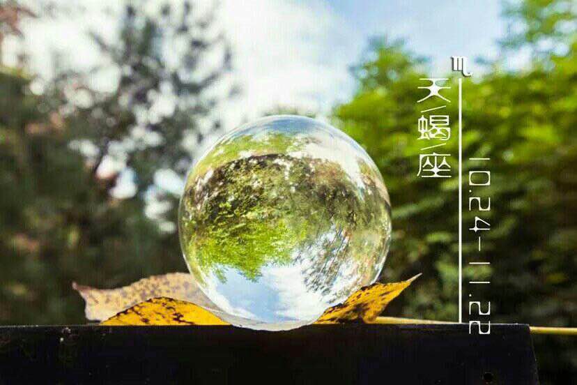 新葡京官网