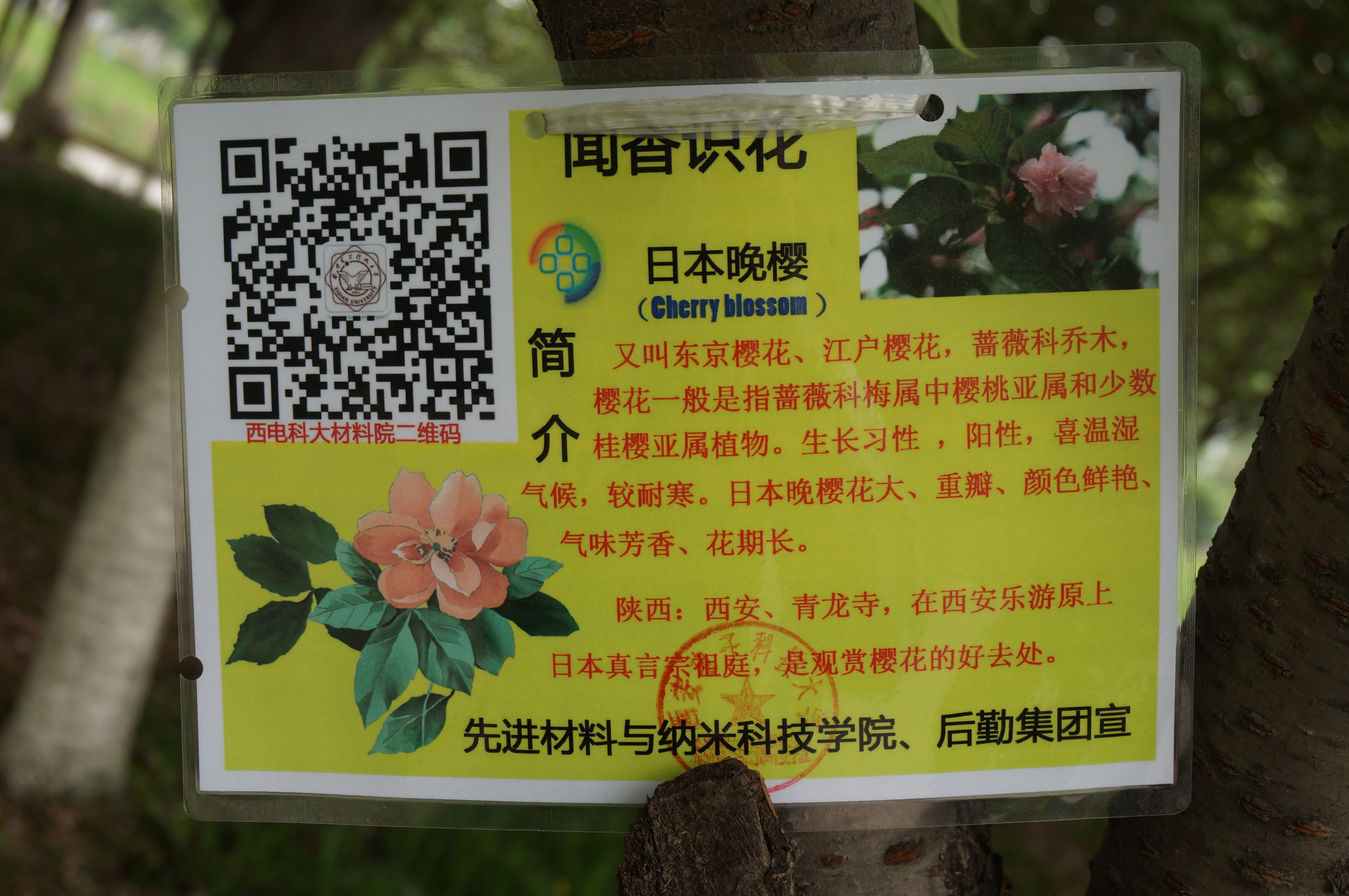 新葡京官网